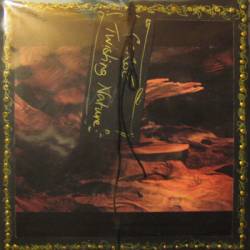 Gorse : Twisting Nature